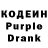 Codein Purple Drank Adam Explorer