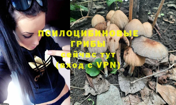 скорость Нея