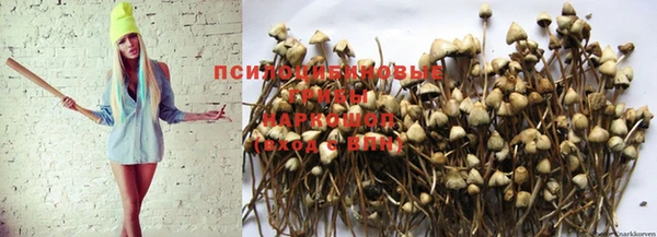 скорость Нея