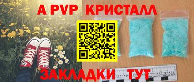 гашик Гусев