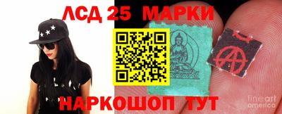 спиды Бийск