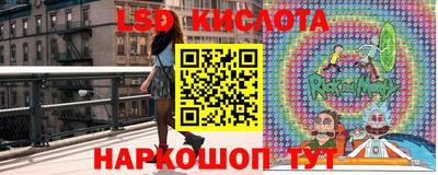 спиды Бийск