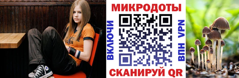 Галлюциногенные грибы Psilocybine cubensis  хочу   Красноармейск 