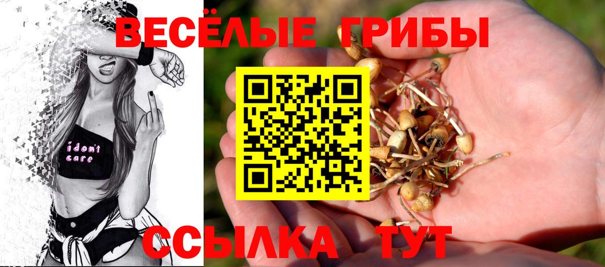 Галлюциногенные грибы мицелий  Псилоцибиновые грибы Psilocybe  Красноармейск  Вход с VPN 