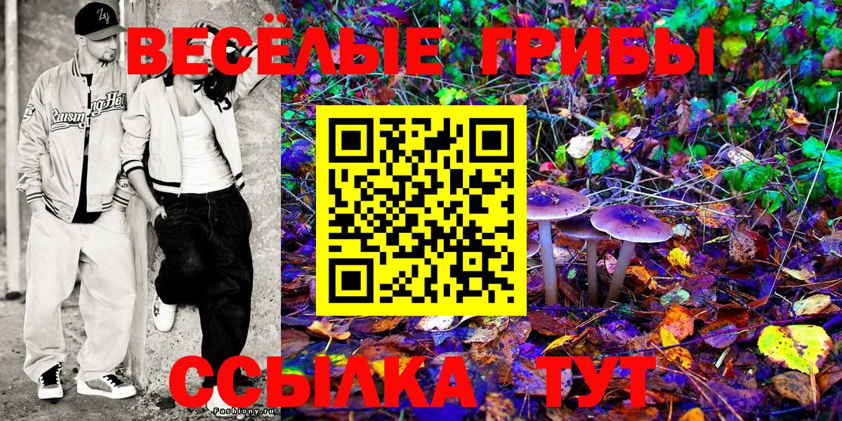 закладка  Галлюциногенные грибы мицелий  Красноармейск  Галлюциногенные грибы ЛСД 