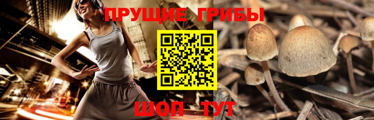 Псилоцибиновые грибы Magic Shrooms Красноармейск