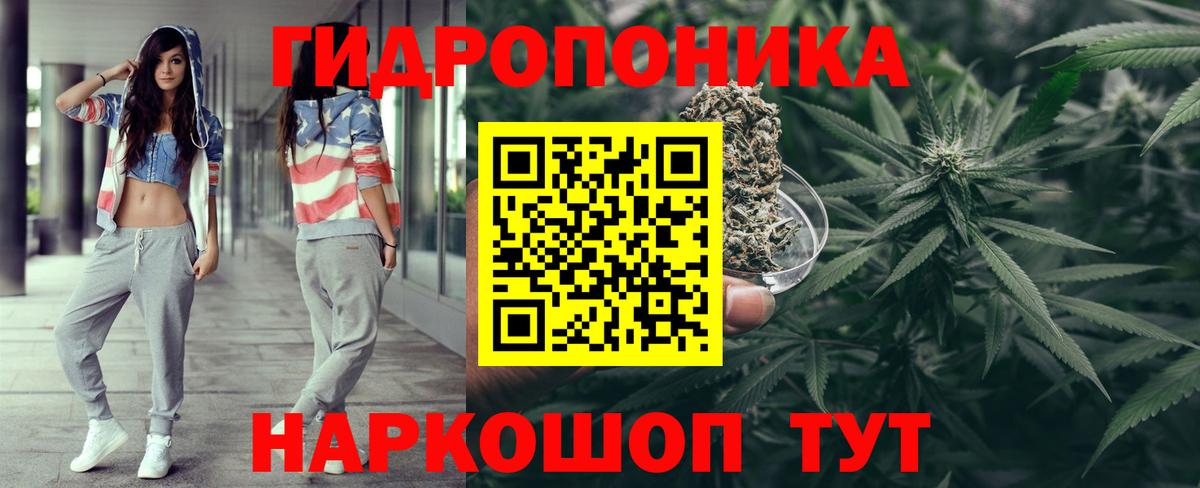 Конопля Ganja  Конопля MAZAR  Красноармейск  Вход с VPN  Бошки Шишки сатива 